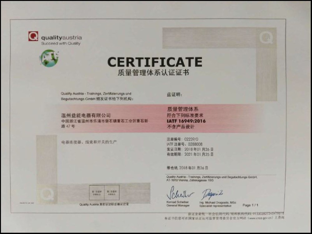 Passed TS16949: 2002 quality system certification in February 2008